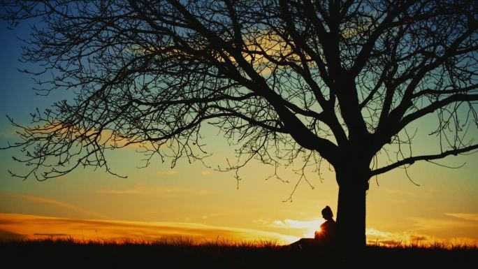 日出时，一位宁静的孕妇坐在田野的树下