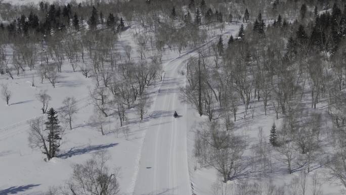 航拍雪橇车在长白山森林雪道行驶