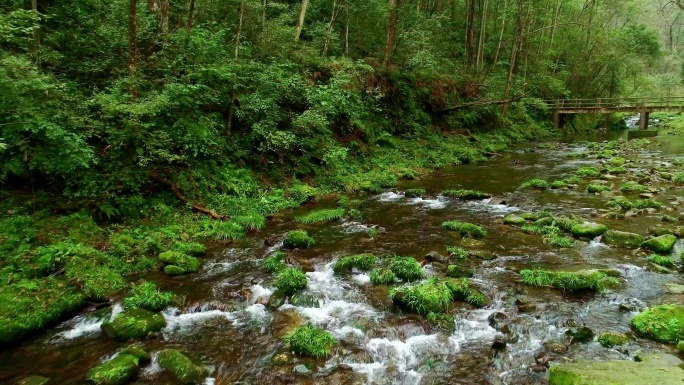 张家界地质公园河流小溪流水金鞭溪