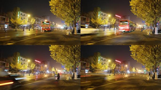 四川资阳城市夜色银杏树下的车流延时