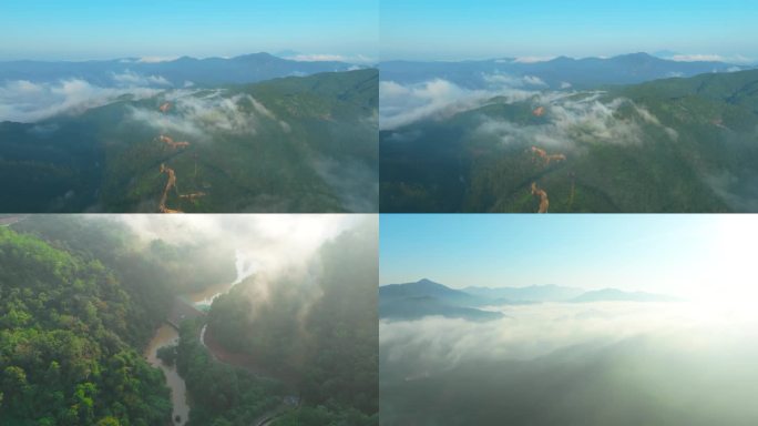 【4K视频】云雾缭绕森林云海风光深山穿云