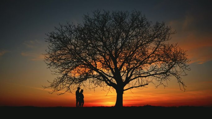 一对深情的怀孕夫妇站在日出田野的树下