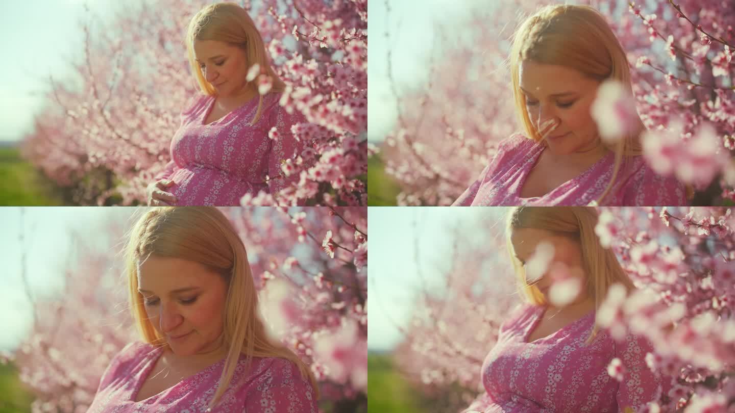 身穿粉色连衣裙的孕妇站在树上的樱花丛中