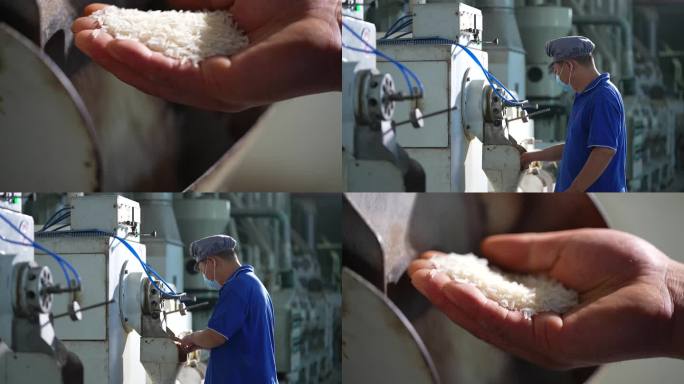 【4K升格】一位米厂工人在机器旁检测稻谷
