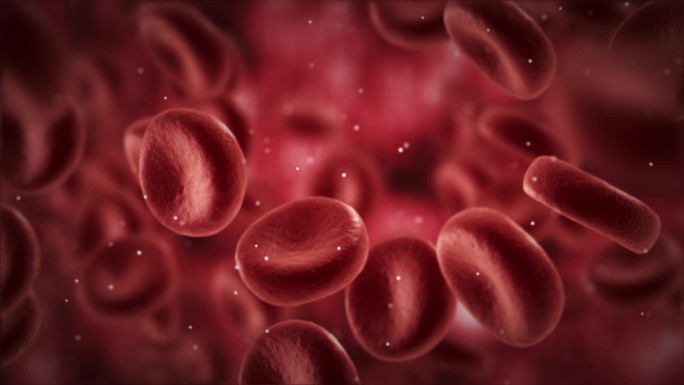 血细胞8K