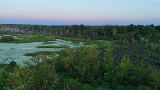 马里兰湿地生态
