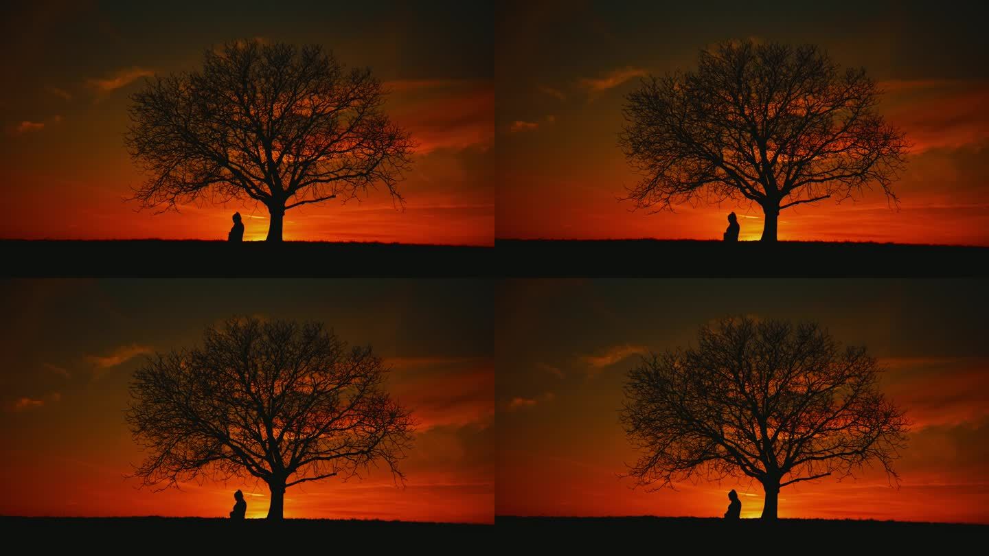日出在戏剧性的天空背后的孕妇剪影树下