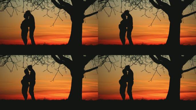 日出时，一对怀孕的夫妇在树下深情拥抱