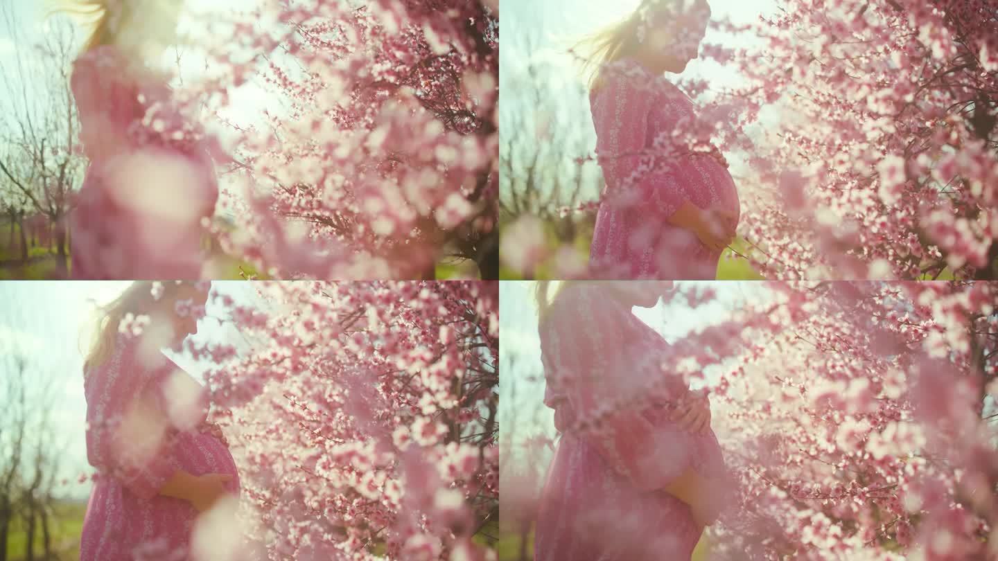 在阳光明媚的果园里，一名孕妇站在粉红色的樱花中间