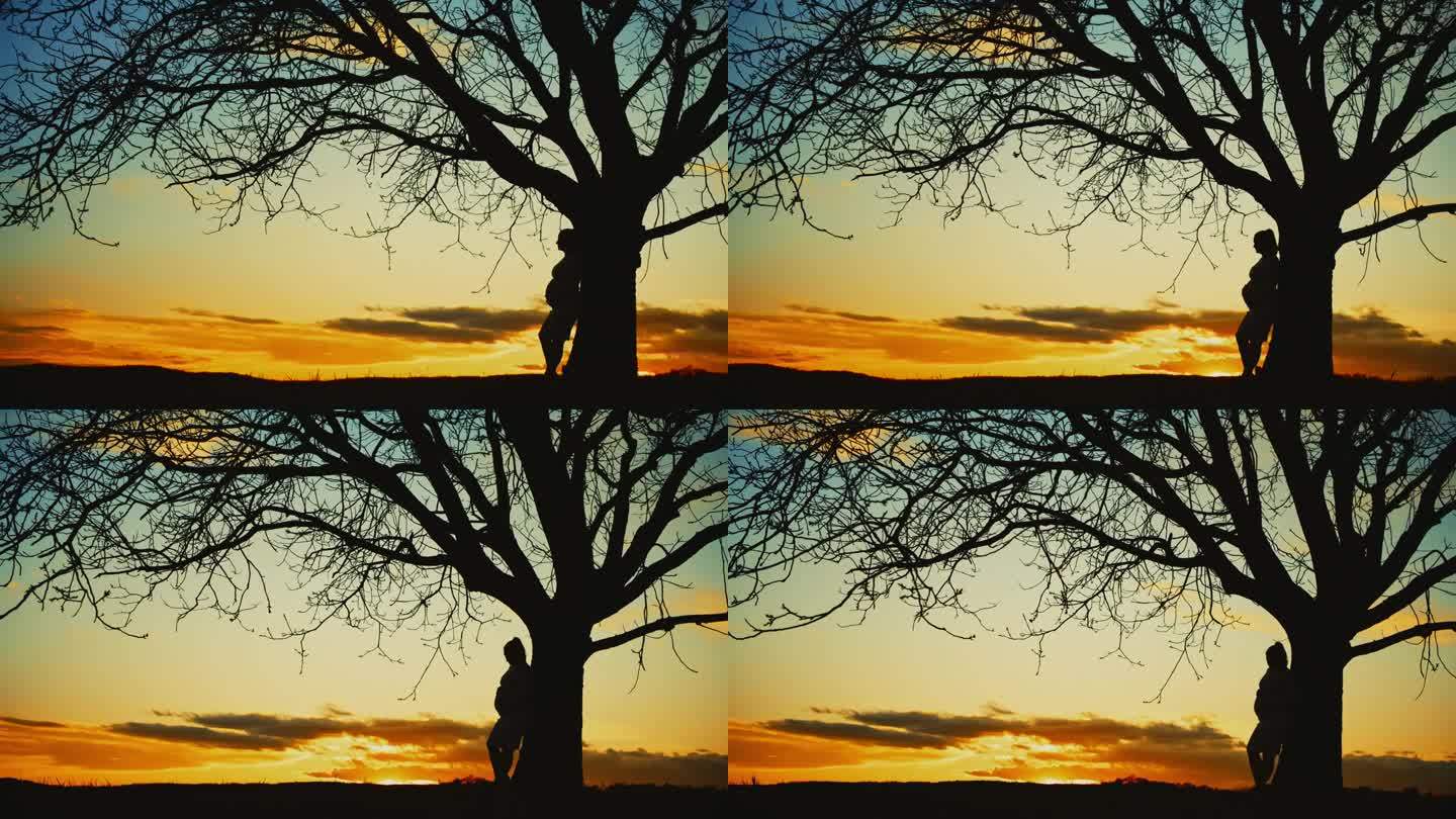 日出时，一名孕妇斜靠在田野的树上