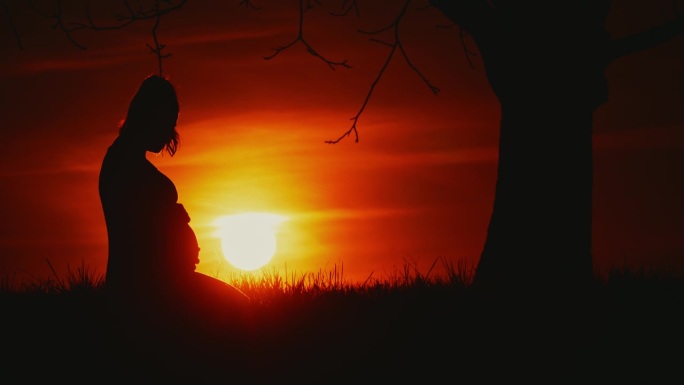 太阳升起，孕妇坐在田野的树下