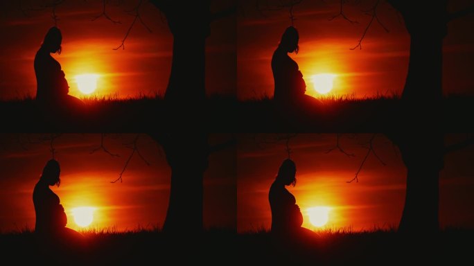 太阳升起，孕妇坐在田野的树下