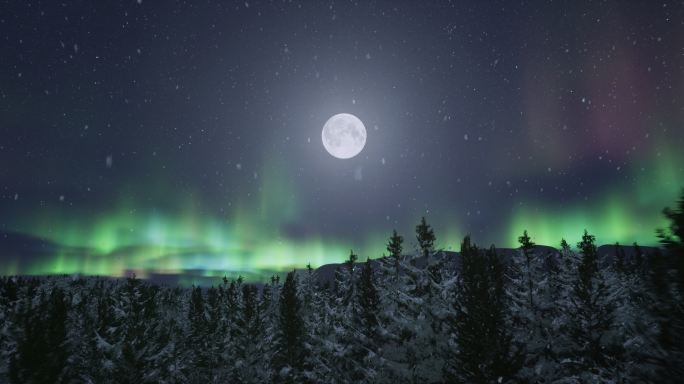 4k唯美月夜极光飘雪针叶林穿梭⑤