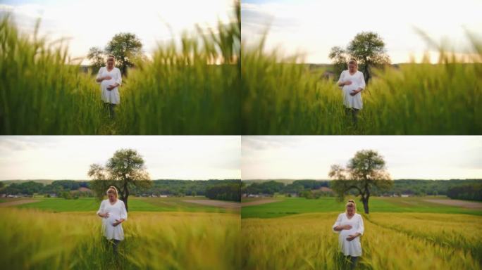 身穿白色连衣裙的孕妇站在田园诗般的绿色麦田里