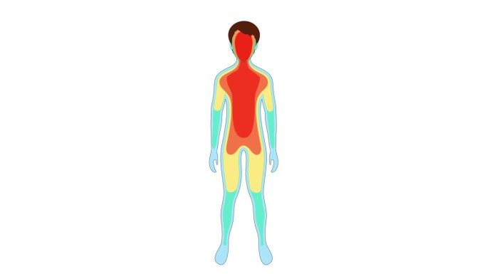 显示人体温度变化的热图像。体温过低