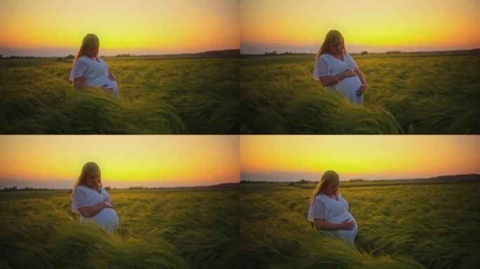 日出时，宁静的孕妇站在农村绿色的麦田里