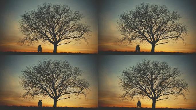 日出时孕妇背靠背站在树下的慢动作剪影