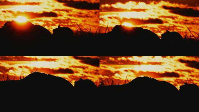 太阳冉冉升起，映照出躺在田野里的孕妇的剪影