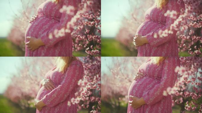 身穿粉色连衣裙的孕妇站在樱花丛中