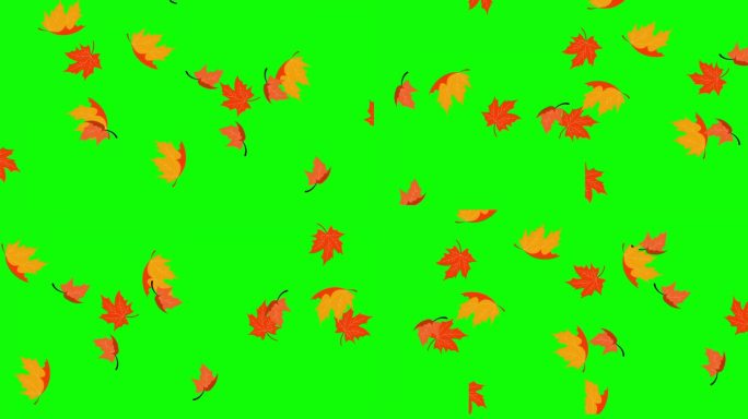 秋天或落叶落在绿色屏幕背景。4K