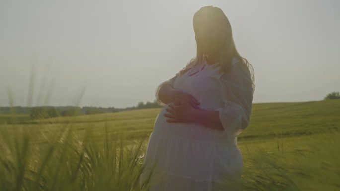 穿着白色连衣裙的孕妇在阳光明媚的绿色麦田里