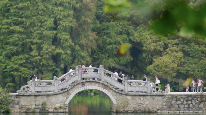广州华南植物园-公园游玩-感受自然