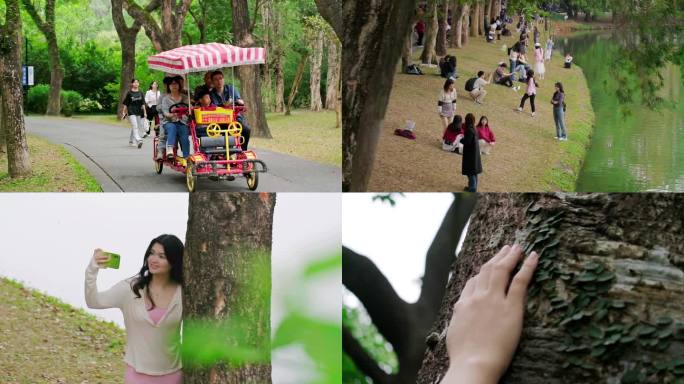 广州华南植物园-公园游玩-感受自然