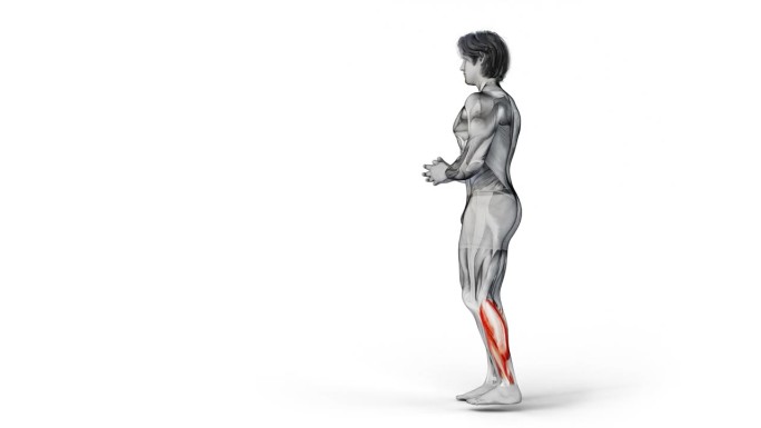 肌肉发达的人物在孤立的白色背景上训练他的小腿