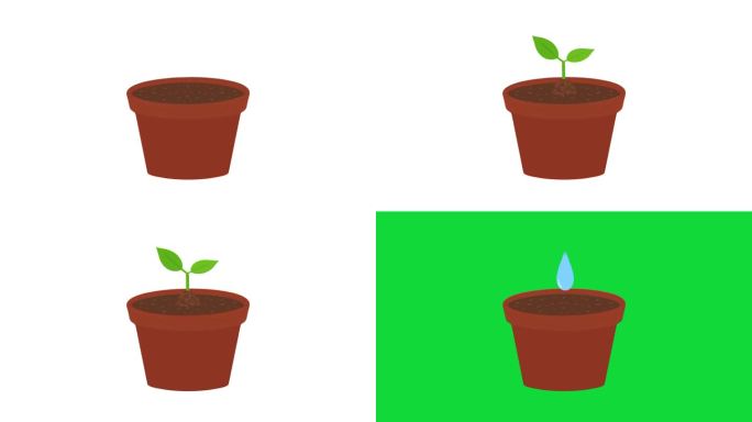 浇水和种植植物的概念，4k动画