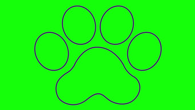动画线性猫紫色足迹。一个猫爪印出现了。毛圈的视频。矢量插图隔离在绿色背景上