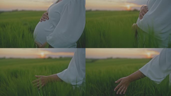 在绿色的麦田里，孕妇抱着肚子