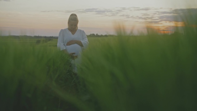 日出时，孕妇站在宁静的农村麦田里