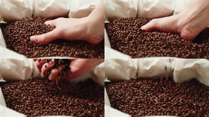 干黑金大麦咖啡豆麦芽特写。精酿啤酒生产。成熟的麦粒质地。啤酒厂的概念。收获和耕种，杂货。