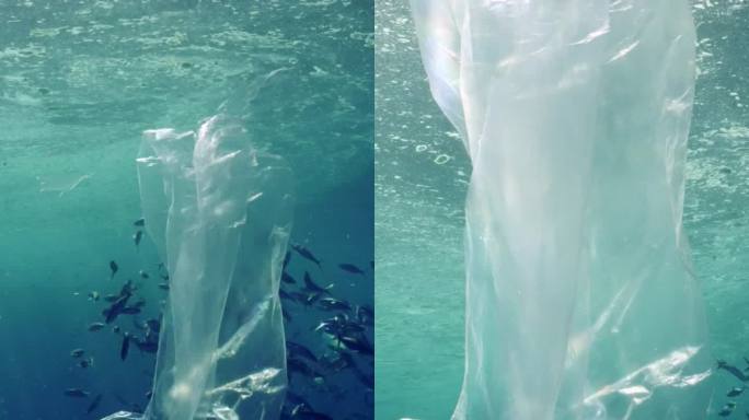 塑料袋漂浮在被污染的海面下，旁边是游泳的鱼