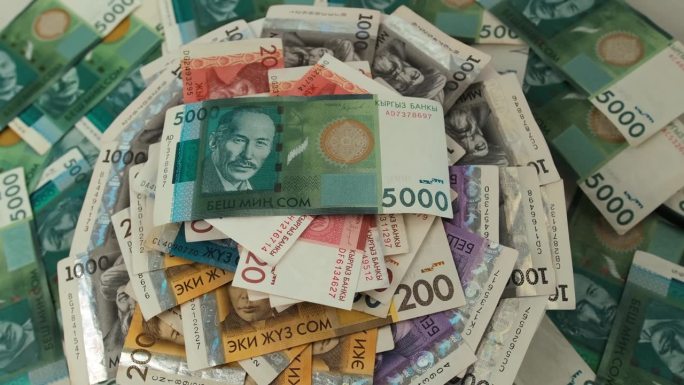 5000张，1000张，200张，20张吉尔吉斯纸币在桌子上呈扇形分布。