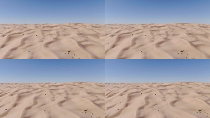 尤马的亚利桑那沙漠:沙丘