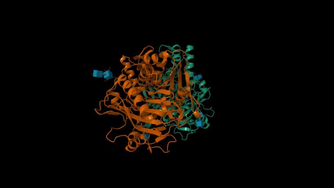 组织蛋白酶A的晶体结构，载脂蛋白结构。