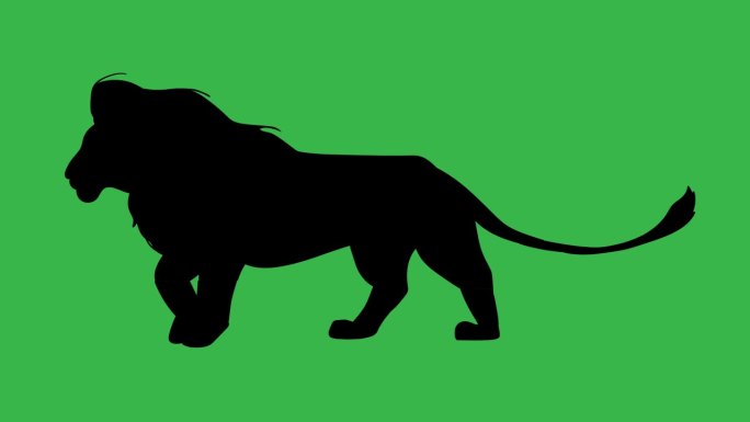 行走狮子的剪影，绿色背景上的动画。