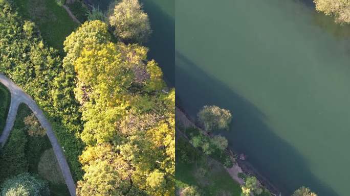 杭州 西湖区 西溪湿地 湿地公园 日落