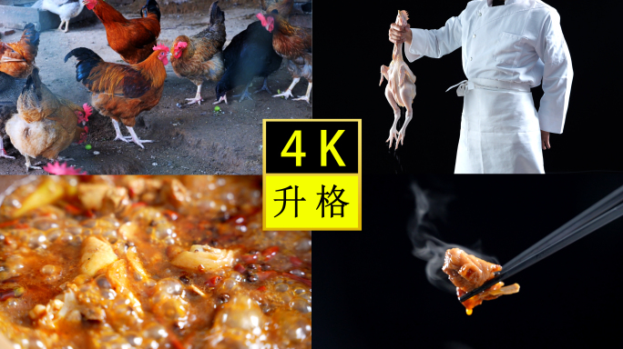 肥肠鸡制作过程-藤椒鸡-烧肥肠-跑山鸡