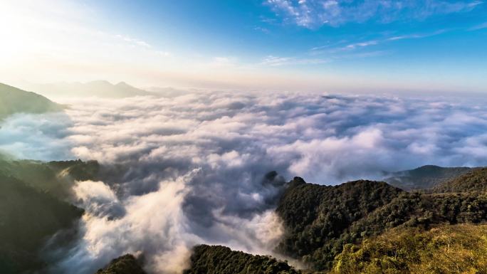 重庆南川：“赶海”金佛山