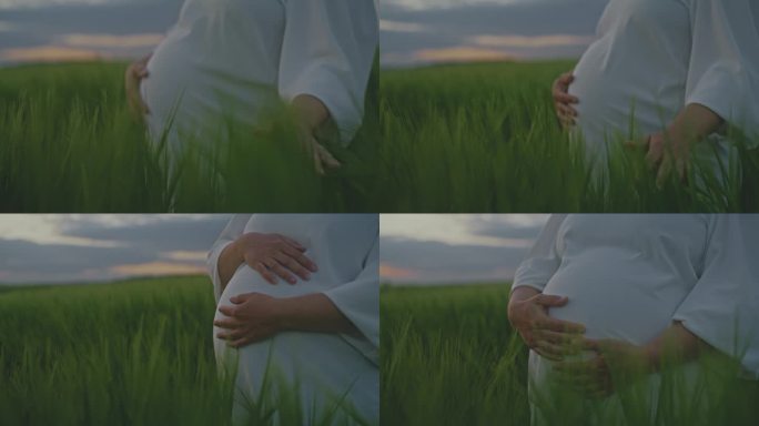 孕妇走在绿色的麦田里