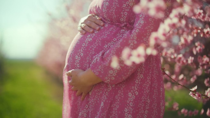 安详的孕妇穿着粉红色的裙子站在樱花中