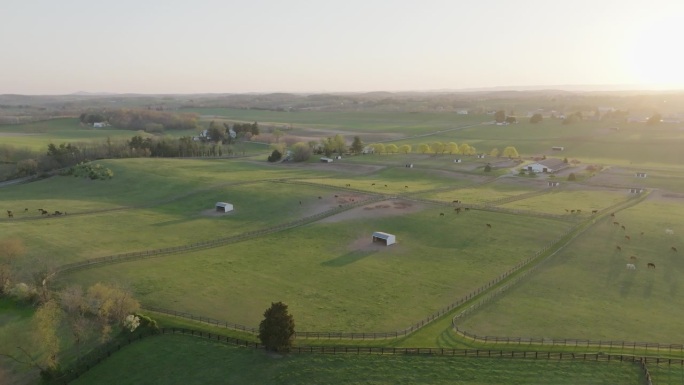 春天在农场的马牧场拍摄的高角度建立推入镜头