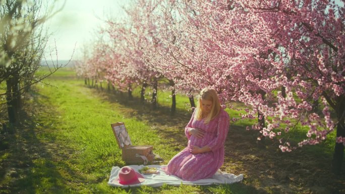 一名孕妇在粉红色的樱花树下野餐
