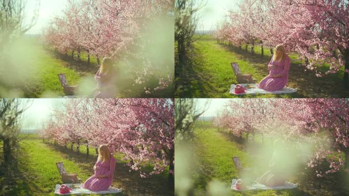 一名孕妇在粉红色的樱花树下野餐