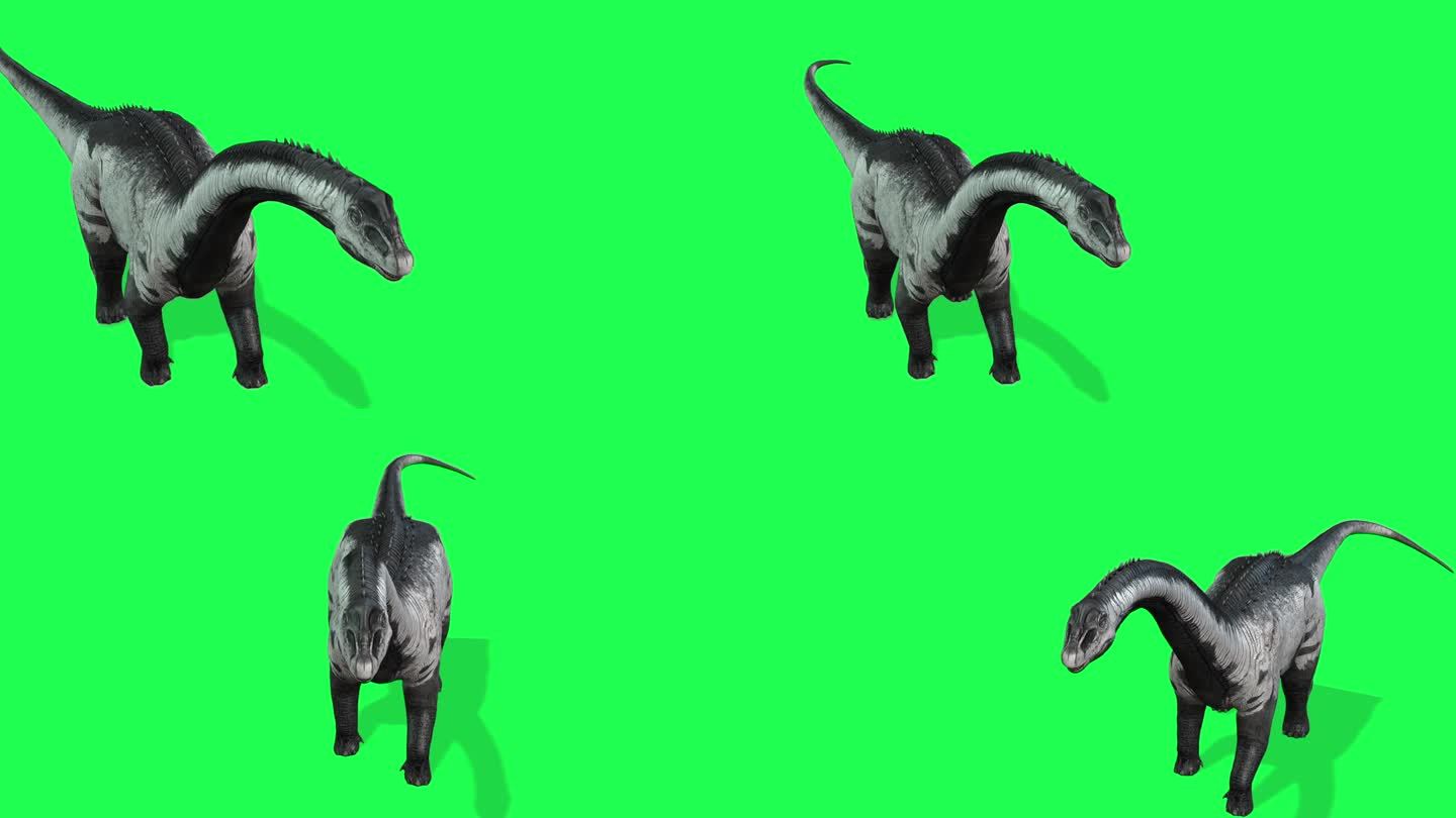 动画-绿屏幕上的腕龙群，蜥脚类动物在寻找食物