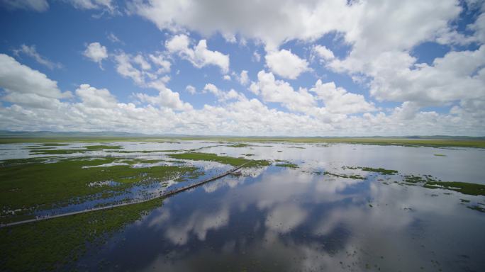 若爱盖草原湿地1