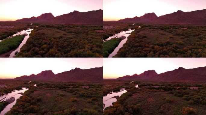 盐河，亚利桑那州特写空镜栖息地湿地