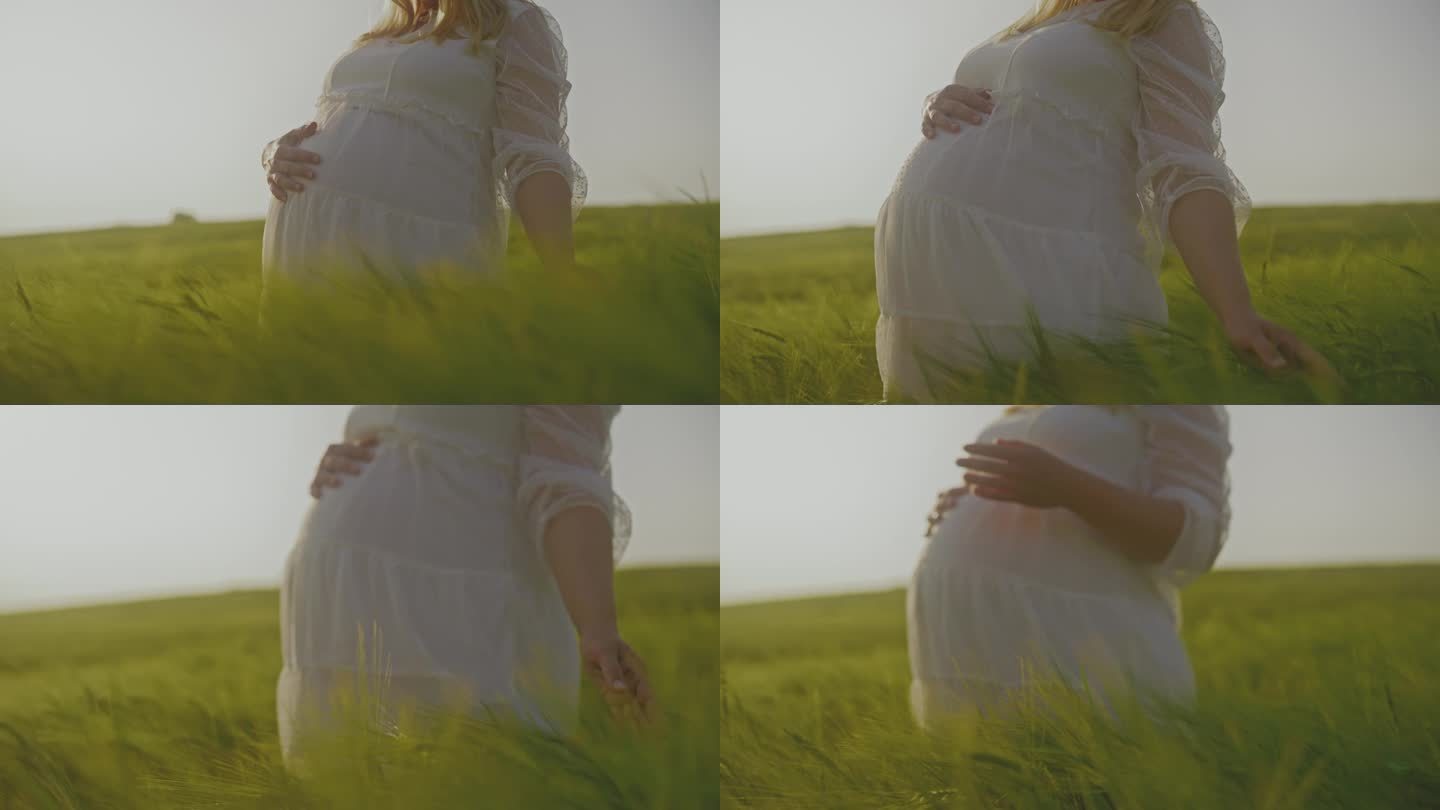 穿着白色连衣裙的孕妇走在阳光明媚的绿色麦田里